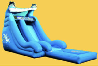 Dolphin Super Slide