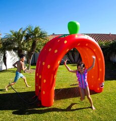 Strawberry Tunnel Sprinkler