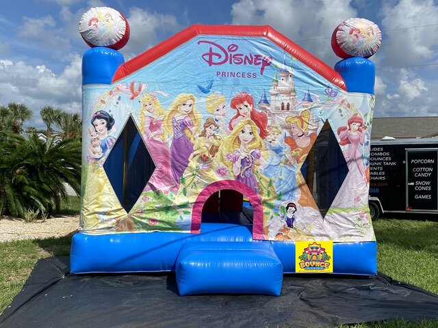 Disney Princess Bouncer