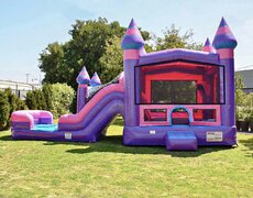 Princess Party Combo 