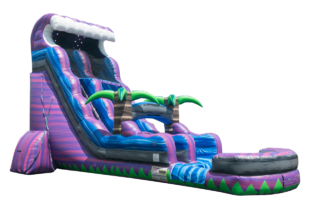 22 ft Purple Crush Water Slide  Party Package 