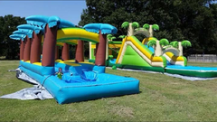 Slides