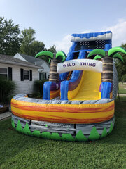 Wild Thing Water Slide