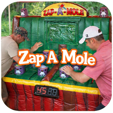 Zap A Mole Game
