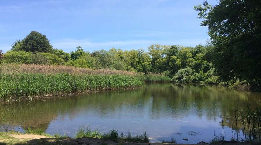 Gardiner County Park