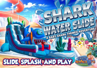 Shark Water Slide