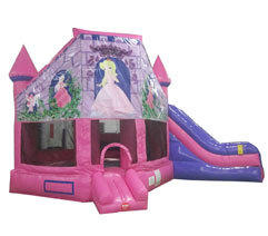 Pink Princess Combo Bounce House