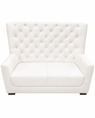 Double Love Seat Couch 