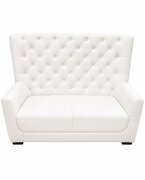 Double Love Seat Couch 