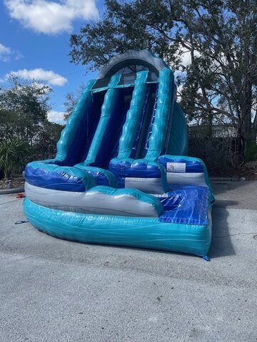 dual lane ocean oasis slide