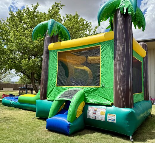 Palm Paradise Bounce Slide Combo Wet/ Dry