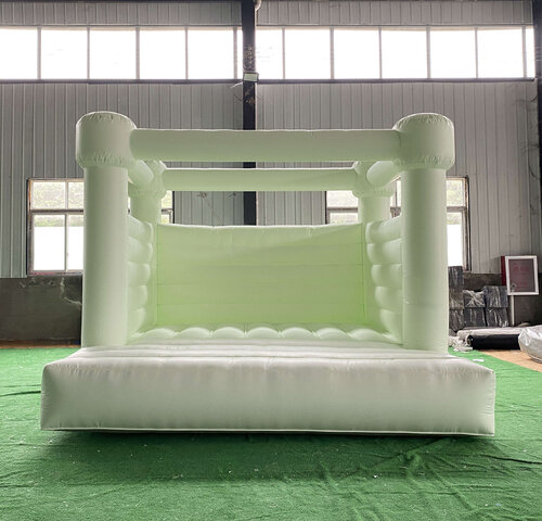 Green Bouncy House 19