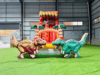 20FT Dino Slide 61