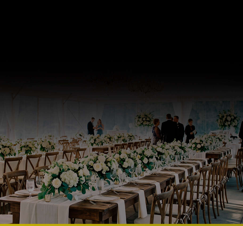 Party Bloom Rentals and Decorations 