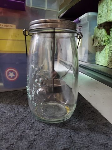 Mason Jar Hanging