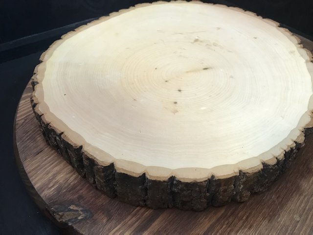 Wood Slices XL - New