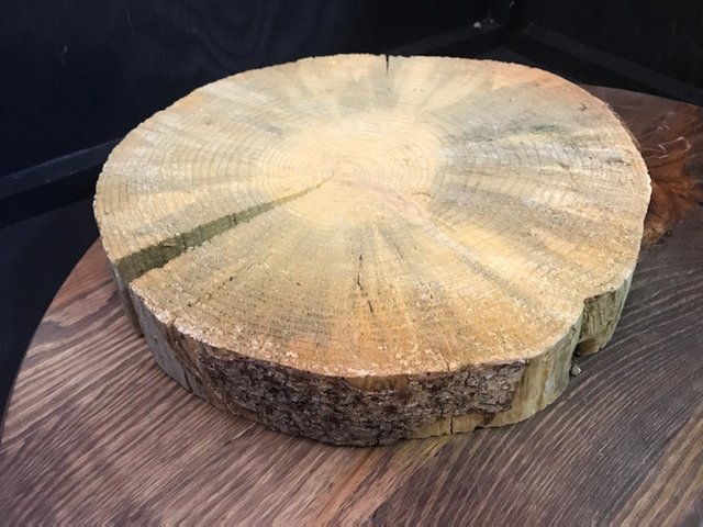 Wood Slices - Original