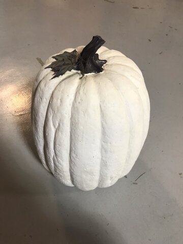 Pumpkin White