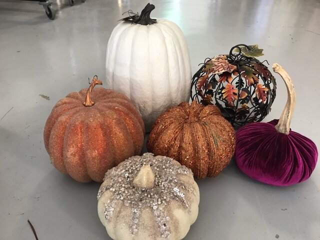 Pumpkin - Fall Assorted All 