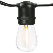 Edison Bistro Light 100ft String