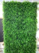 Tropical Greenery Wall 