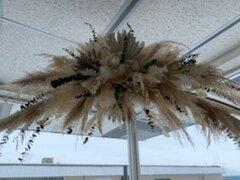 Pampas Arch Arrangement 