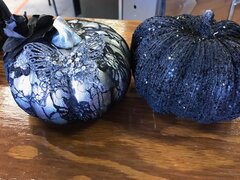 Pumpkin Black Sequin/Lace Assorted