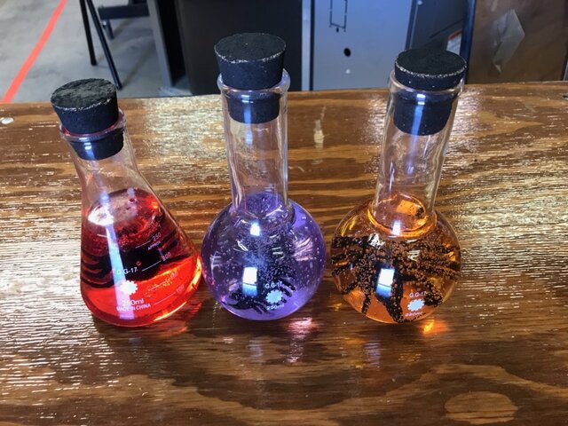 Poison Bottles (3)