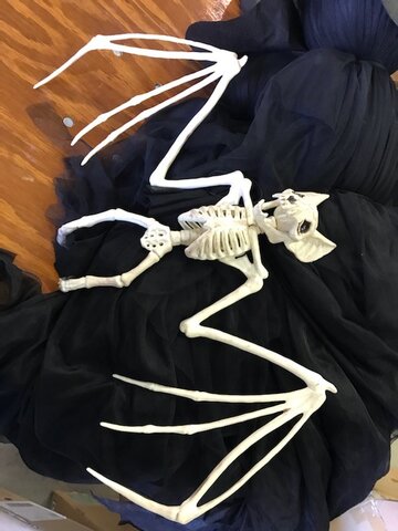 Skeleton Bat