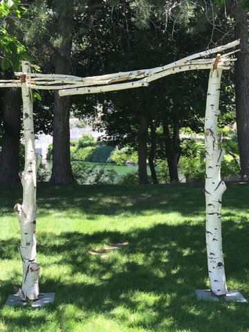 Birch Arch