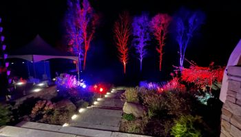 Outdoor Uplighting Rentals