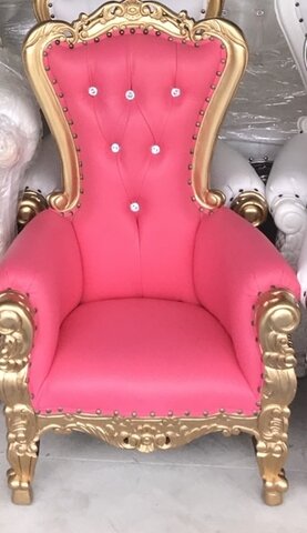 Hot Pink & gold  Baby Throne 