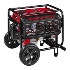 4375 Watt Gas Powered Portable Generator