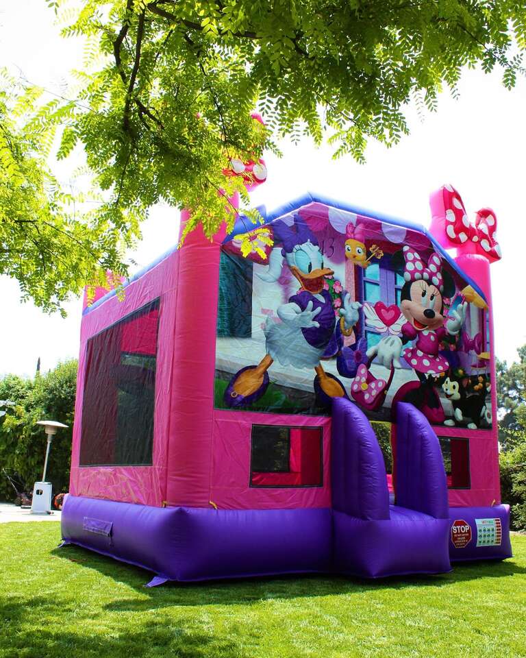 arty Jumpers California pink Disney inflatable bounce house for birthday parties arty Jumpers California pink Disney inflatable bounce house for birthday parties