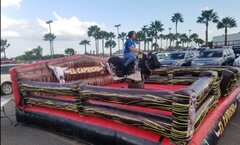 Mechanical Bull