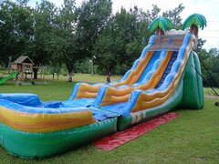 20ft Tropical Wave