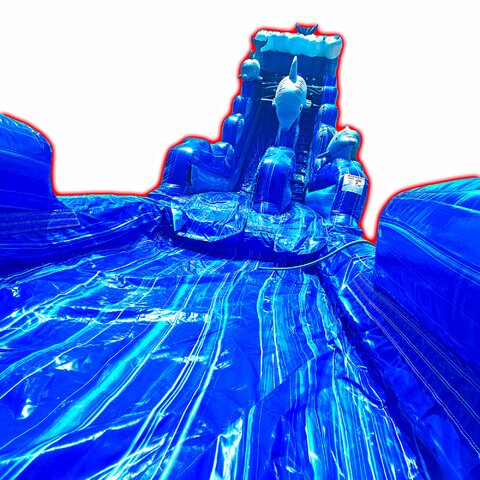 24ft Dolphin Frenzy Water Slide Rental in Peoria, AZ - AZ Party Oasis