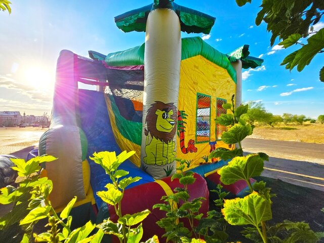 tropical-inflatable-bounce-house