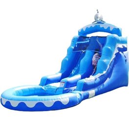 14ft Dolphin Splash Adventure Water Slide