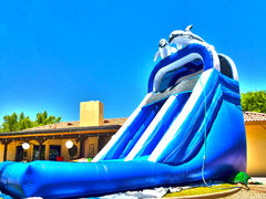 18ft Dolphin Splash Water Slide – Phoenix & Glendale Event Rental