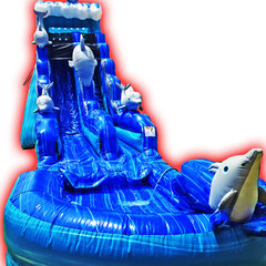24ft Dolphin Frenzy Water Slide