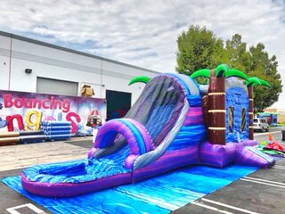 Tropical Dual Lane Water Slide Combo