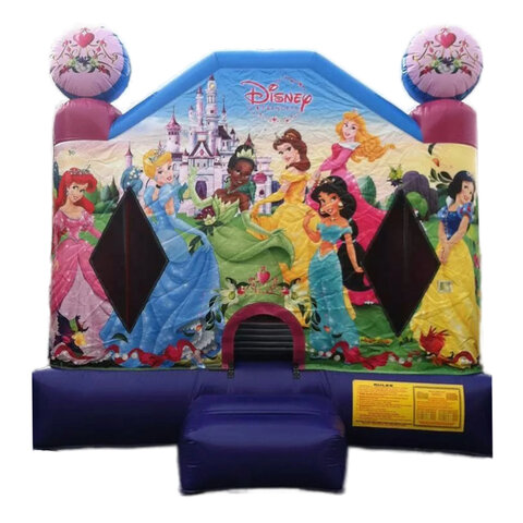 Disney Princess Castle(Fully Themed)