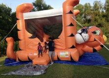 Tiger Belly Bouncer 