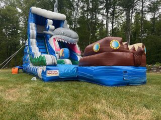 Shark Slide