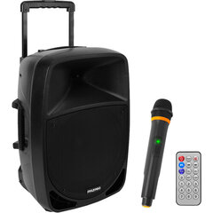 Portable Bluetooth PA Speaker