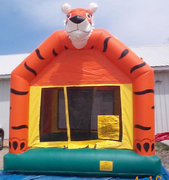 Tiger Bounce