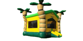 3D Palm Bounce House