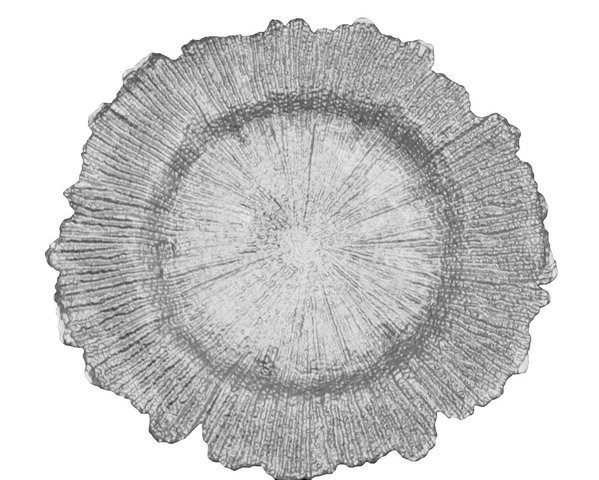 Glass Silver Reef Charger Plate