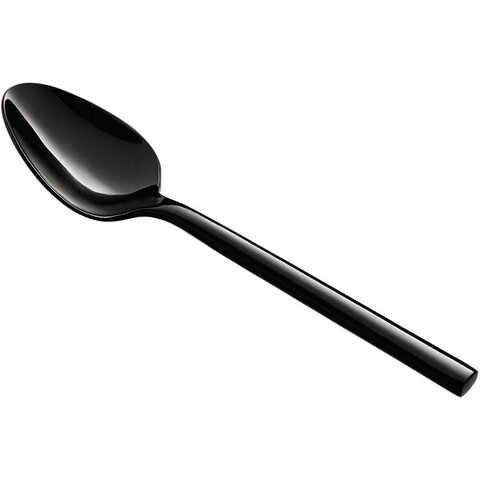 Black Dinner / Dessert Spoon
